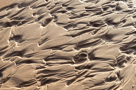 海边沙滩的湿沙质地图片