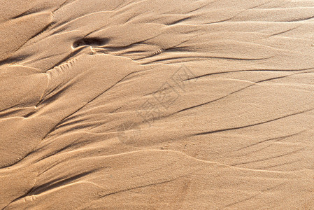 海边沙滩的湿沙质地图片