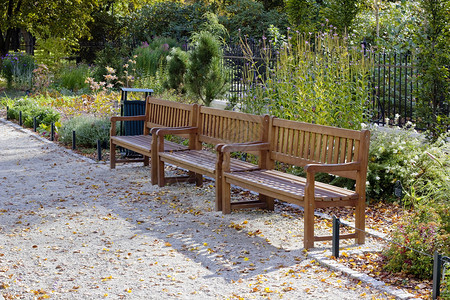 秋天花园城市公园风景的休息长椅图片