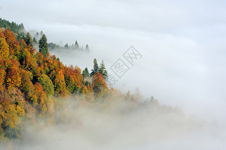 秋天的景色背景是雾中的群山图片