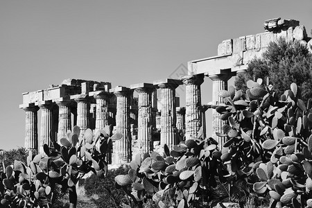 意大利西里塞林纽特希腊赫拉寺庙公元前409图片