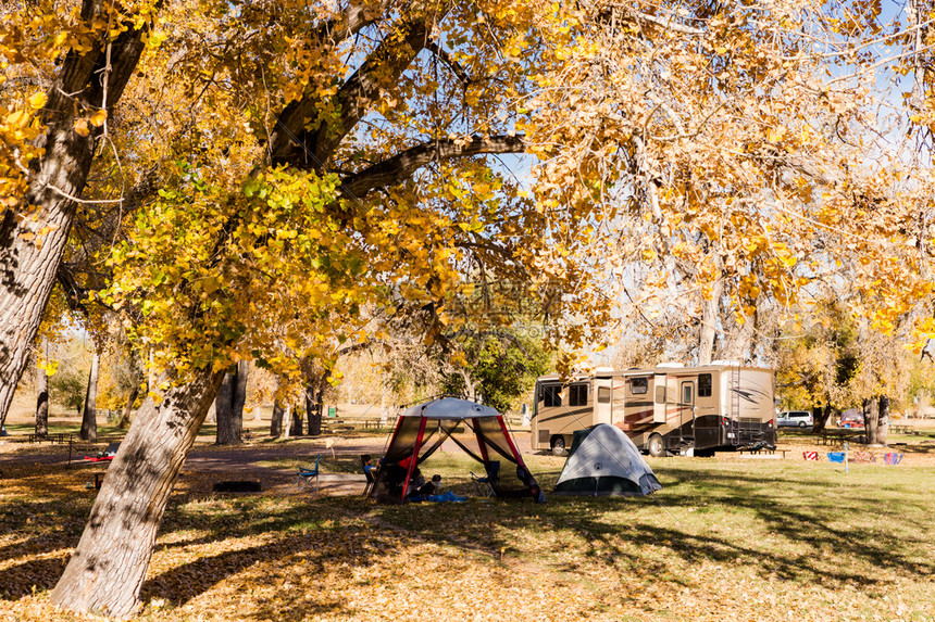 丹佛掘金主教练战术部署与临场指挥解析