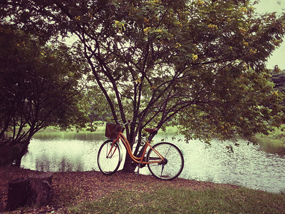 公园自行车加效果背景图片
