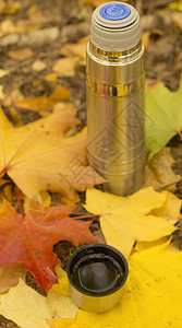 叶子上的热水瓶金色的秋天图片