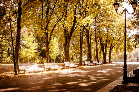 出游季秋天季公园一排长椅的视角背景