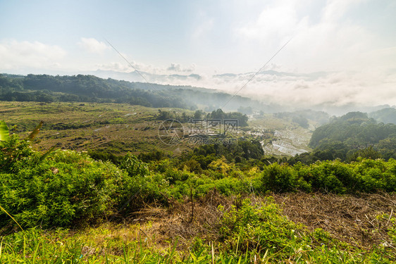 巴图蒙加塔纳托拉贾南苏拉威西SouthSulawesi山上的稻田景色令人震撼清晨阳光和美丽的云彩从天而起图片