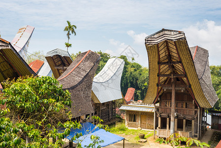 印度尼西亚南苏拉威西Tana图片