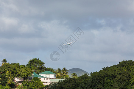 一架双螺旋桨飞机在热带天堂上空起飞图片