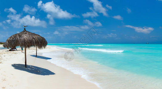 在美丽的加勒比海滩上热图片