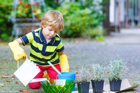 小孩在家里的花园或农场种植花朵图片