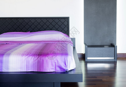 有紫色种子的大现代卧室图片