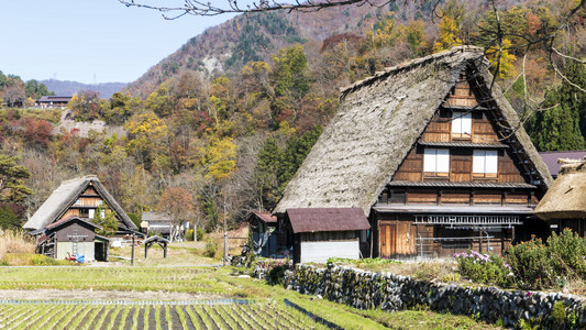 白川高山古老村庄图片