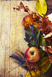 季节水果和蔬菜苹果和黄秋叶的秋天概念背景及复图片