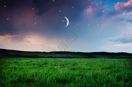 美丽的夜间野外背景背景图片