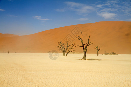 纳米比亚索苏夫莱沙漠红沙图片