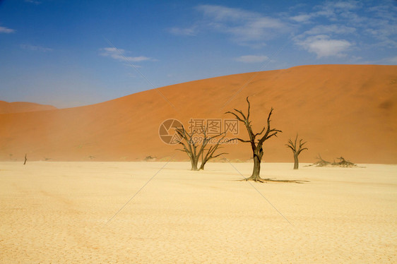 纳米比亚索苏夫莱沙漠红沙图片