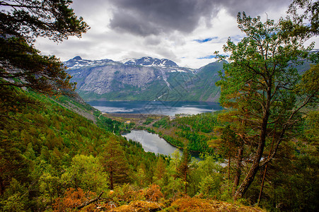 挪威Ringedalsvatnet湖奥达的Trolltun图片