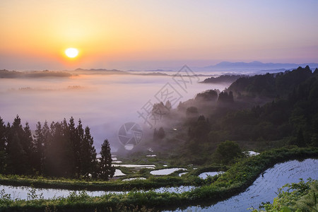 从云海和水稻梯田中升出日日本新伊加背景图片