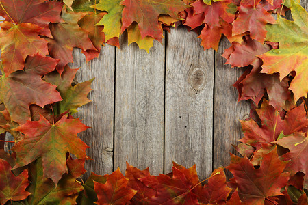 棕色木质背景上的秋叶框架图片
