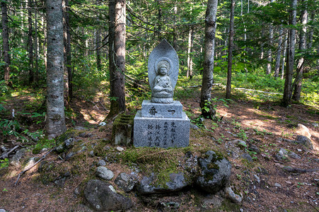 在日本美瑛拍摄的公园内的一座小神社图片