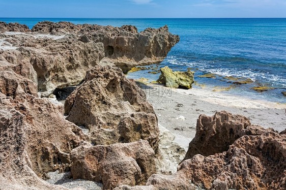 这些岩石实际上是在佛罗里达海岸形成活珊瑚礁的低矮丘陵结构图片