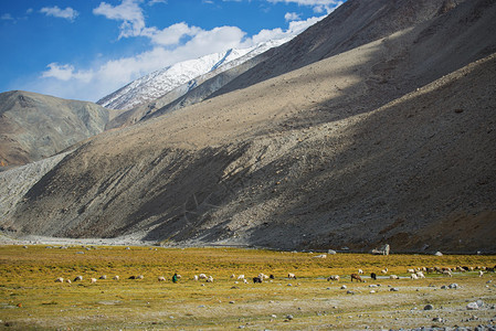 Meadows和雪山脉拉达赫Ladakh图片
