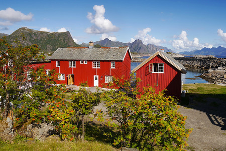 Lofoten村Kabelvag和典型的红图片