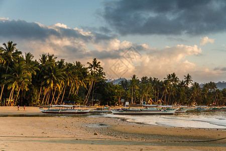 菲律宾巴顿港后有船和棕榈树的海滩上多图片
