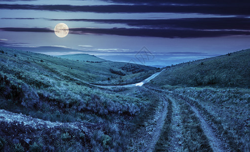 深夜在满月光下穿过山坡草原长得离公路很远的松林图片