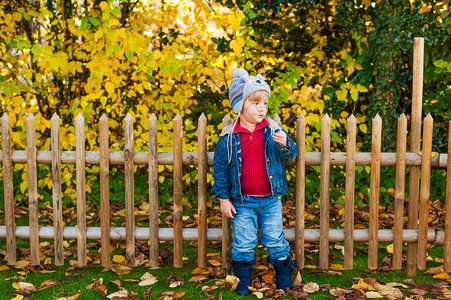 可爱的小男孩的秋天肖像图片