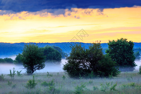 乌克兰大草原的Ealry图片