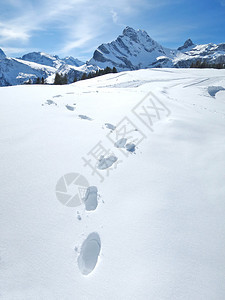 瑞士阿尔卑斯山雪图片