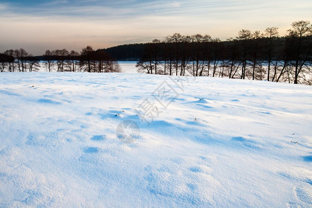 寒雪覆盖美丽的冬季田地图片