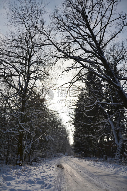 寒冷天气阳光明媚的冬图片