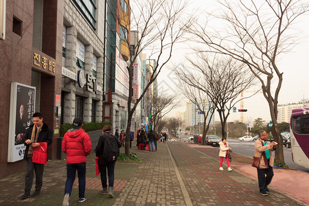 韩国济州岛的城市景观图片