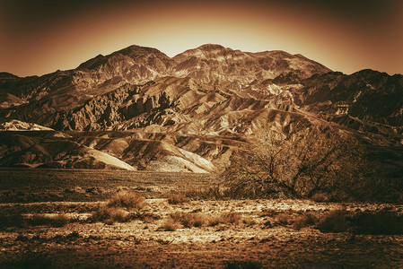 美国加利福尼亚州谷的荒漠景观布朗尼旧式色素加分法图片
