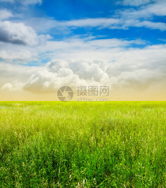 美丽的天空云朵和绿色的田野图片