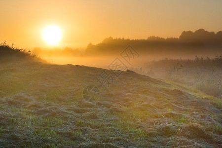 美丽的日出在有雾的草地上在典型的波兰乡村拍摄的宁静景观有露珠的草和植物在温暖的阳光下会产生雾和霾夏季景观用全画幅相机和图片