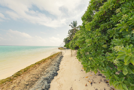 马尔代夫的海滩真棒图片