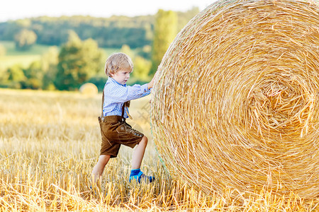 可爱的小男孩在温暖的夏天晚上在小麦田图片