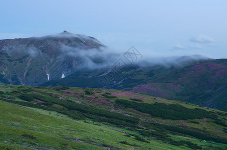 山中的黄昏云的顶部夏天的风景背景图片