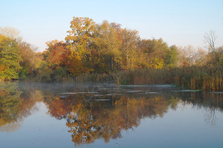 河景观和秋木图片