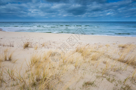 波罗的海沙滩风景美在大白天拍摄背景图片
