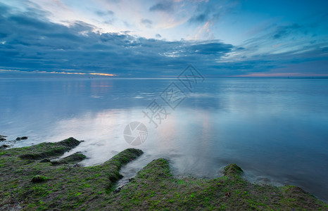 美丽的清晨长距离接触海边照像带藻类生图片