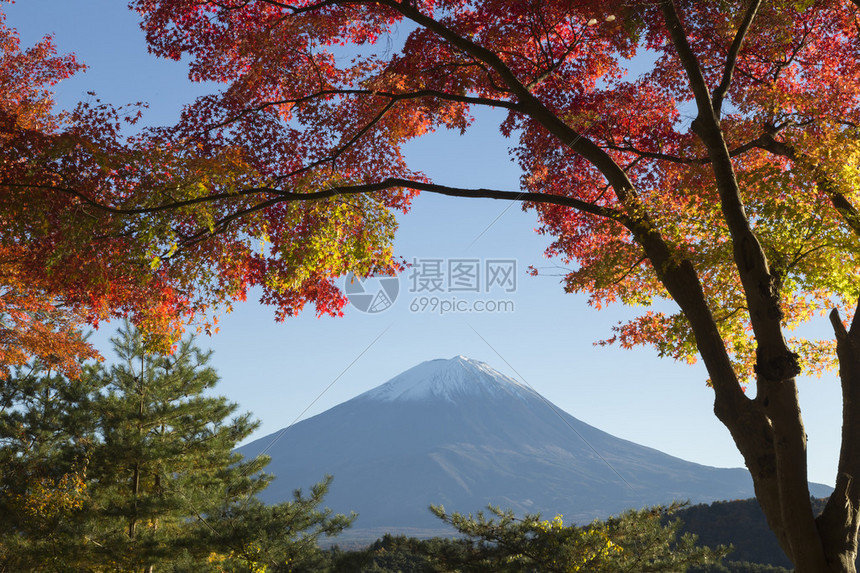 这张照片是在秋天的富士山周边地区拍摄的图片