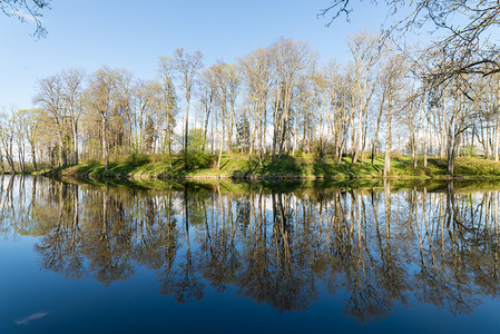 河流水中树木和云彩的清光和美背景图片