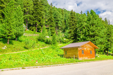 绿松树背景的木小屋奥地利图片