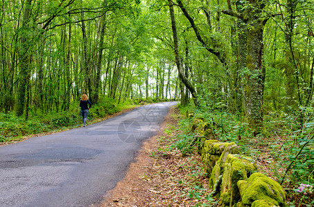 一名妇女走在加利西亚西班牙橡树森林图片
