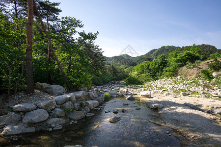 南韩Gangneung的Baugil2号通道古代Daegwalyeong路附近达格沃尔京徒步道沿线背景图片