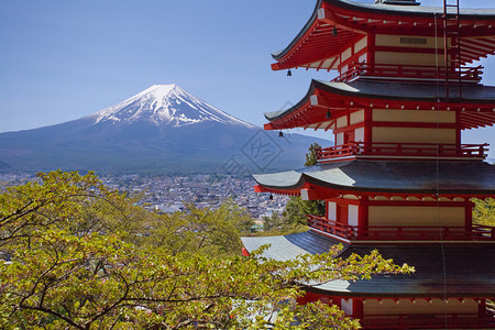 春季的日本Chureito塔和富士山图片